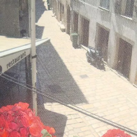 Flavio M Appartement